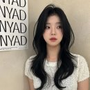 부천 미용실 추천, 햇살 가득한 힐링 공간 르비아헤어 부천점 방문 후기
