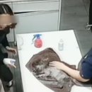 뿌리동물병원 이미지