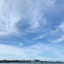 신흥민박 이미지