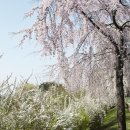 굴포공원 이미지