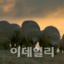 상서목장 이미지