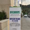아일랜드아카디아