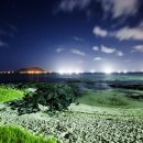 제주도 푸른밤 이미지