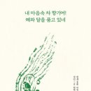 진면목