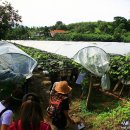 치우농장 이미지