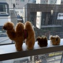 스닙헤어(SNIP HAIR) | 경성대 남자머리 잘하는 스닙헤어 경성대미용실 추천