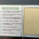 물빛공원 농구장 이미지