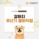 원주더봄동물의료센터 이미지