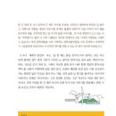올리브뷰띠끄 네이버블로그