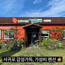 오색귤민박체험농장 | 제주펜션 서귀포가성비숙소 찾는다면 설문대농장&amp;펜션