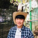 아일랜드투어 - 부산진구 서면로 56 | 아일랜드투어