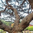 문화축산 이미지