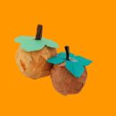 건강체조,라인댄스,미술교실 이미지