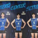 야구장 | 여자프로배구_IBK기업은행 알토스vs페퍼저축은행 AI페퍼스 화성실내체육관 직관 후기