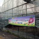 반곡 농장 이미지