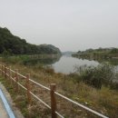 여주-0137 이미지