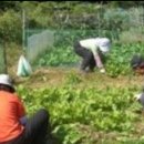 금남농장 이미지