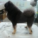 멍이가 웃통벗는날 이미지