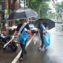 화정천서로 이미지