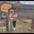 효자동 박태성정려비및묘 이미지