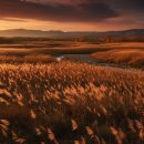 남기농장 이미지