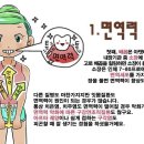 힐링치과의원 이미지