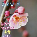 1429 이미지