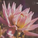 축령산자연요양원 | 남양주요양원 축령산요양원 신뢰받는 남양주 요양원