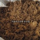 이슬로건강원 이미지