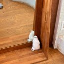 숲속이야기민박 | [제주 여행] 숲속에서 누리는 온전한 쉼, 로컬 브랜드 스토어 ‘소길별하’