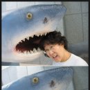 오목수산 이미지