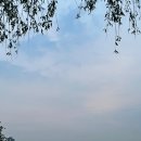 교촌치킨 반포삼호가든점 이미지