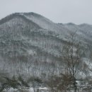 대감농원
