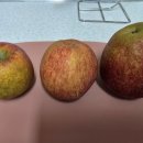 버들골농장 이미지