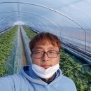 화니농장 이미지