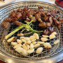 김포 고기맛집 고기만월 고급진 분위기 찐으로 맛있는 풍무동 돼지고기 양념목살