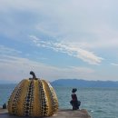 섬섬하우스 | [공지] 일본 다카마쓰 나오시마섬 베네세 하우스 뮤지엄 탐방 후기