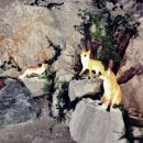 아침하늘 모텔 이미지