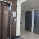 스머프리빙 이미지