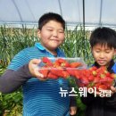 옥종농장 이미지