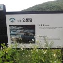 일사대 이미지
