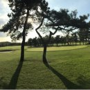 (주)신태진 (인천국제컨트리클럽) 네이버블로그