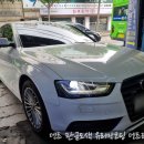 (주)덴트리 이미지