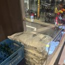 용산-174 | 데이트 코스로 딱 이태원오겹살맛집을 찾는다면 돈막촌으로 | 용산구청 점심특선 가능