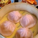 씨앤코스