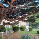 호반숲속 작은도서관 이미지