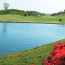 마우나오션 콘도미니엄 이미지