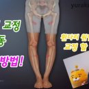 다고치네 네이버블로그