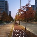 대구혁신미인캘리그라피 이미지