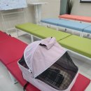 마도공단로 1,2,4,5,6길 | [반려마루 고양이 입양 2] 반려마루 화성 호떡이(별동) 입양 첫날(준비물, 서류 작성)